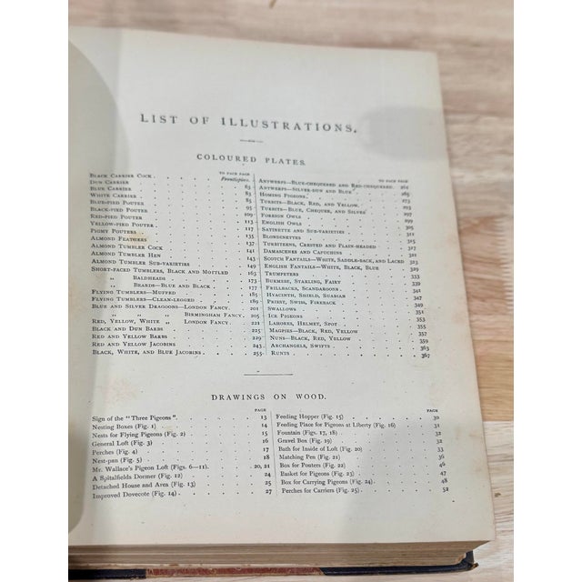 Rare 1870s First Edition: The Illustrated Book of Pigeons by Robert Fulton (Cassell Petter & Galpin) Complete With All 50 Color Plates by j.w. Ludlow For Sale - Image 10 of 12