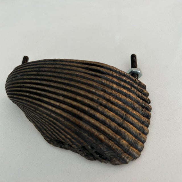 Brass Shell Grip Bin Drawer Pull in Antique Brass For Sale - Image 8 of 8