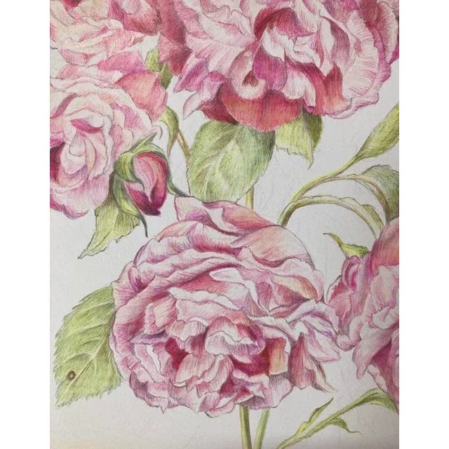 Vintage Style Summer Floral, "Climbing Rose" Original Mixed Media Drawing For Sale In Seattle - Image 6 of 7