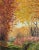"Shades of Autumn" Contemporary Original Impressionist Style Landscape Painting by Deb Bossert For Sale