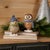 Bring cozy woodland charm to your seasonal décor with this Winter Owl and Bird Figurines Set. Featuring sweet owl and bird...