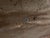 Antique Seafarer's (Captains) Chest From the Historic 18th C. Inn at Perry Cabin, St. Michaels, Md. For Sale - Image 9 of 13