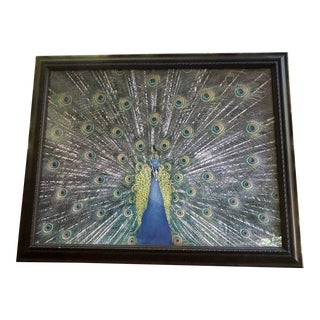 Late 20th Century Peacock Art Print - Framed For Sale