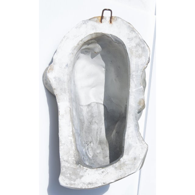 19th Century 19th Century Bust of Demosthenes 4th Century Bc Greek Orator For Sale - Image 5 of 5