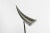 Silver Ara Table Lamp by Philippe Starck for Flos, 1990s For Sale - Image 8 of 12