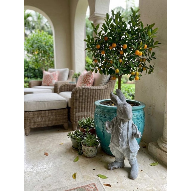 Antique-Style Cast Iron Gentleman Rabbit Garden Statue For Sale - Image 9 of 10