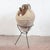 This charming terracotta amphora, complete with its original metal base, is a piece of rustic antiques that evokes the...
