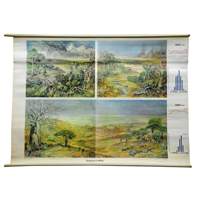 Vintage Cottage Core Africa Savanna Landscape Weather Seasons Rollable Wall Chart For Sale - Image 6 of 6