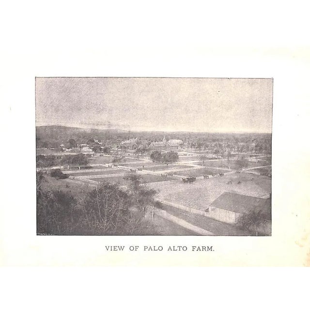 Late 19th Century "Training the Trotting Horse" 1891 Marvin, Charles For Sale - Image 5 of 10