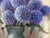 Realism Still Life with Flowers & Fruit in a French Farmhouse Interior by French Artist 1992 Circa For Sale - Image 3 of 13