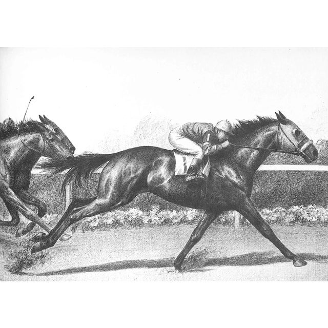 1930s "Black, Bay and Chestnut: Profiles of Twenty Favorite Horses" 1939 Anderson, c.w. For Sale - Image 5 of 10