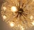 Metal Mid-Century Dandelion Chandelier in Brass and Glass, 1950s For Sale - Image 7 of 11