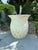 Rustic European Large Ivory Glazed Terracotta Planter With Flared Rim For Sale - Image 3 of 9