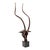 Brown Kisumu Antelope Sculpture For Sale - Image 8 of 11