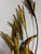 A striking vintage metal wall sculpture featuring a sculptural wheat/botanical spray design. Crafted with hammered brass...