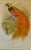 English Original 19th-Century John Gould “Paradisaea Intermedia” Hand-Colored Lithograph For Sale - Image 3 of 9