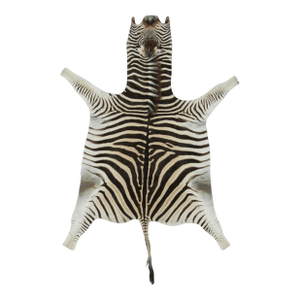 Rug & Kilim’s Contemporary Burchell Zebra Hide With Classic Black Stripes