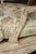 Pair Louis XV Style French Cream Distressed Painted Cane Back Armchairs For Sale - Image 14 of 16