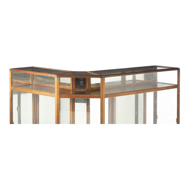 Counter Display Case, 19th Century For Sale - Image 5 of 8