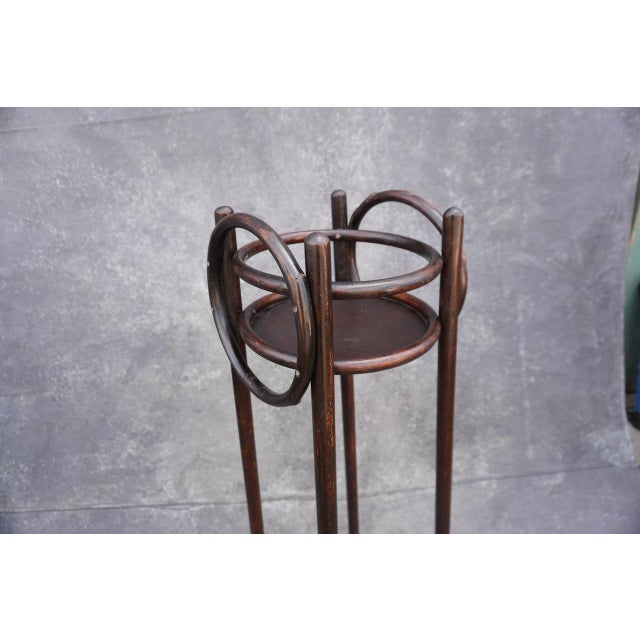 Thonet Thonet Bentwood Vienna Secession Style Plant Stand For Sale - Image 4 of 9