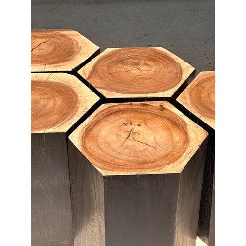 Brown Hexagonal Stools in Two-Tone Suar, Set of 5 For Sale - Image 8 of 18
