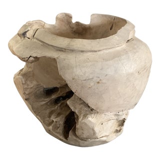 Organic Modern Teak Root Sculptural Vessel For Sale
