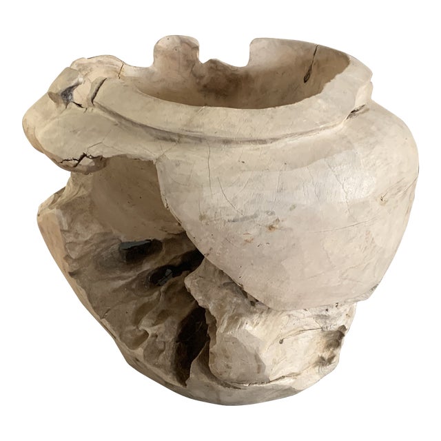 Organic Modern Teak Root Sculptural Vessel For Sale