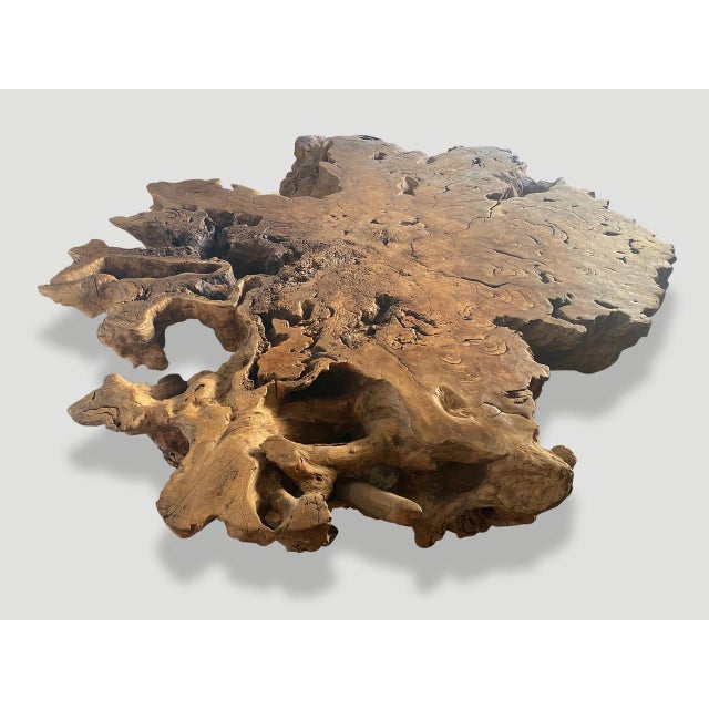 Andrianna Shamaris Monumental Rare Teak Wood Root Coffee Table For Sale In New York - Image 6 of 6
