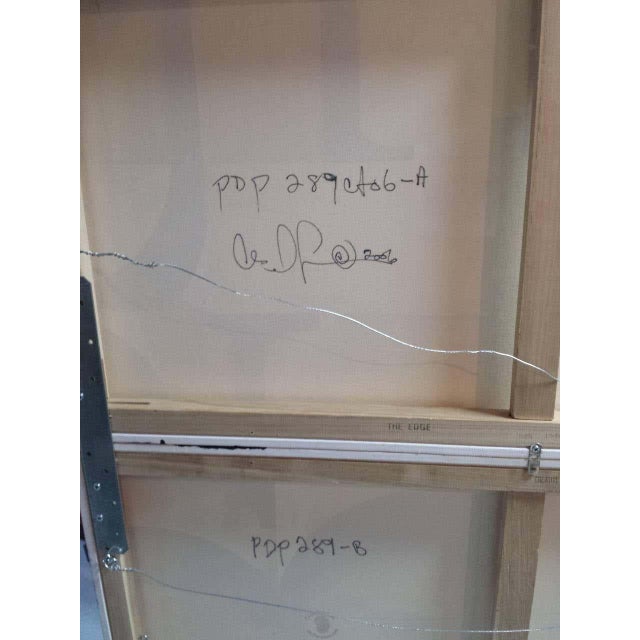 Cecil Touchon Cecil Touchon, Acrylic Diptych Painting Titled : PDP #289 2005 For Sale - Image 4 of 7