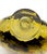Beautifully Painted Inside Painted Snuff Bottle With Praying Mantis and Grasshoppers For Sale - Image 16 of 16