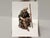 Traditional Seated Nativity Shepherd For Sale - Image 3 of 3
