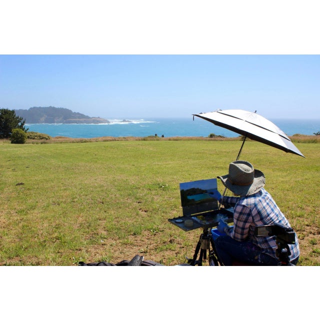 Farmhouse Mendocino Coast For Sale - Image 3 of 12