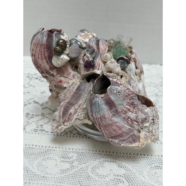Rustic Sculptural Seaside Barnacle Cluster Decor Accent For Sale - Image 3 of 11