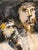 Andre Elbaz, Three Rabbis at the Torah, Expressionist Judaica Painting For Sale - Image 4 of 5
