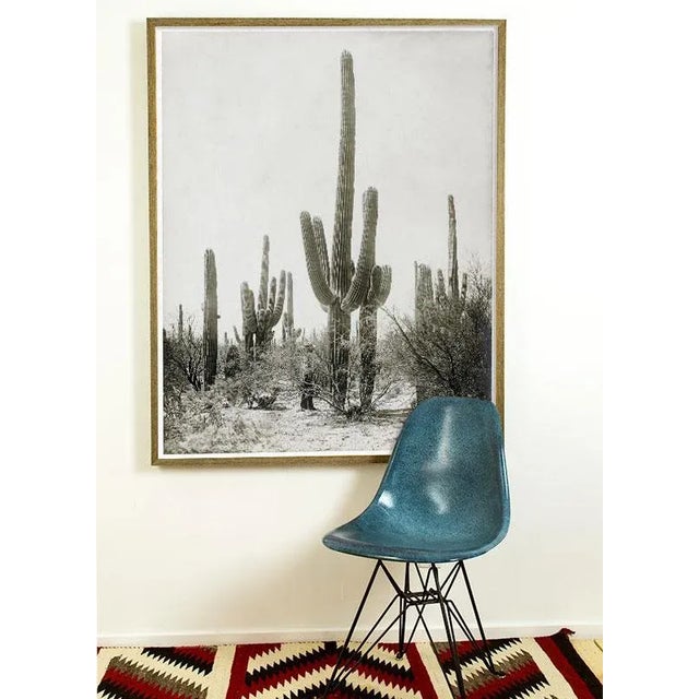 Contemporary Reproduction of Vintage Saguaro Cactus Photograph - 24" X 30" For Sale - Image 4 of 4