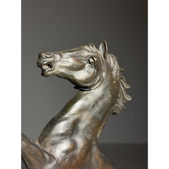 Bronze Seahorses on Stands, 1960, Set of 2 For Sale - Image 18 of 18