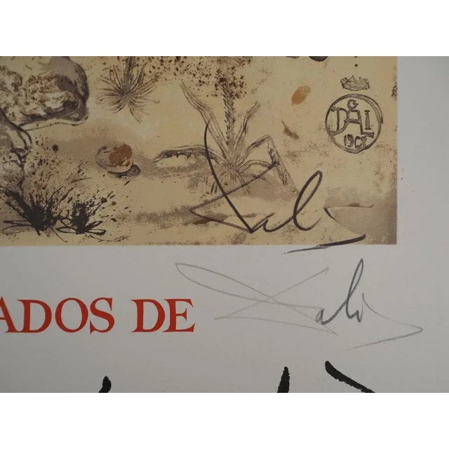 Salvador Dali (1904-1989) Rhinoceros: Homage to Albrecht Dürer, 1971 Color lithograph Signed in pencil Numbered / 300...