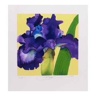 Gary Bukovnik, Iris, 1998 For Sale