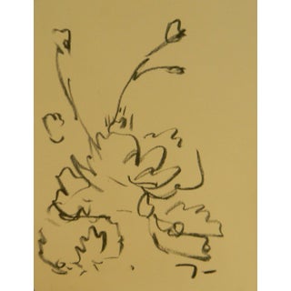 "Desert Wildflower" Contemporary Abstract Charcoal Sketch by Jose Trujillo For Sale