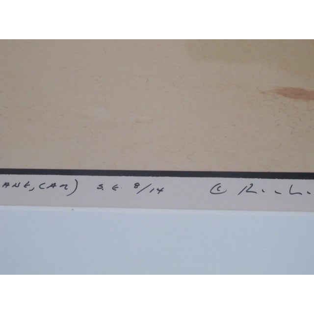 Richard Misrach Signed Limited Edition Burning Man Photograph Desert Croquet #3 For Sale - Image 11 of 12