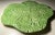 This fabulous, very rare, large handmade studio pottery Green cabbage leaf platter was created by Barbara Eigen in her...