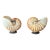 Mid Century Nautilus Sea Shells on Stands For Sale