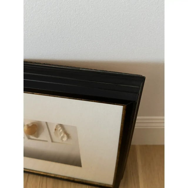 2010s Large Black Framed Shell Shadow Box Picture From Barclay Butera For Sale - Image 5 of 6