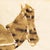 Espiga Pinto, Animalistic Composition, 1960s, Watercolor For Sale - Image 4 of 6
