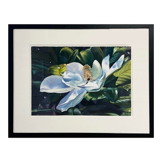 Magnolia Watercolor and Pencil Painting, Framed For Sale
