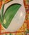 Kosta Boda Kosta Boda Tulip Vase Hand Painted From Sweden For Sale - Image 4 of 6