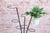 Mid-Century Czech Flower Stand in Lacquered Metal, 1950s For Sale - Image 3 of 10