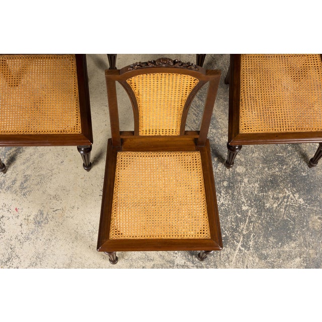 Set of Eight French Napoleon III Empire Style Mahogany Caned Dining Chairs, 19th Century For Sale - Image 4 of 18