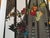 Jay Wolke, Sukkah Chicago Loop Synagogue, Large Scale Color Photograph, 2004 For Sale In Miami - Image 6 of 7