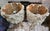 Bring a beautiful touch of romantic, cottage-style elegance to your space with this matching set of two tall candlestick...